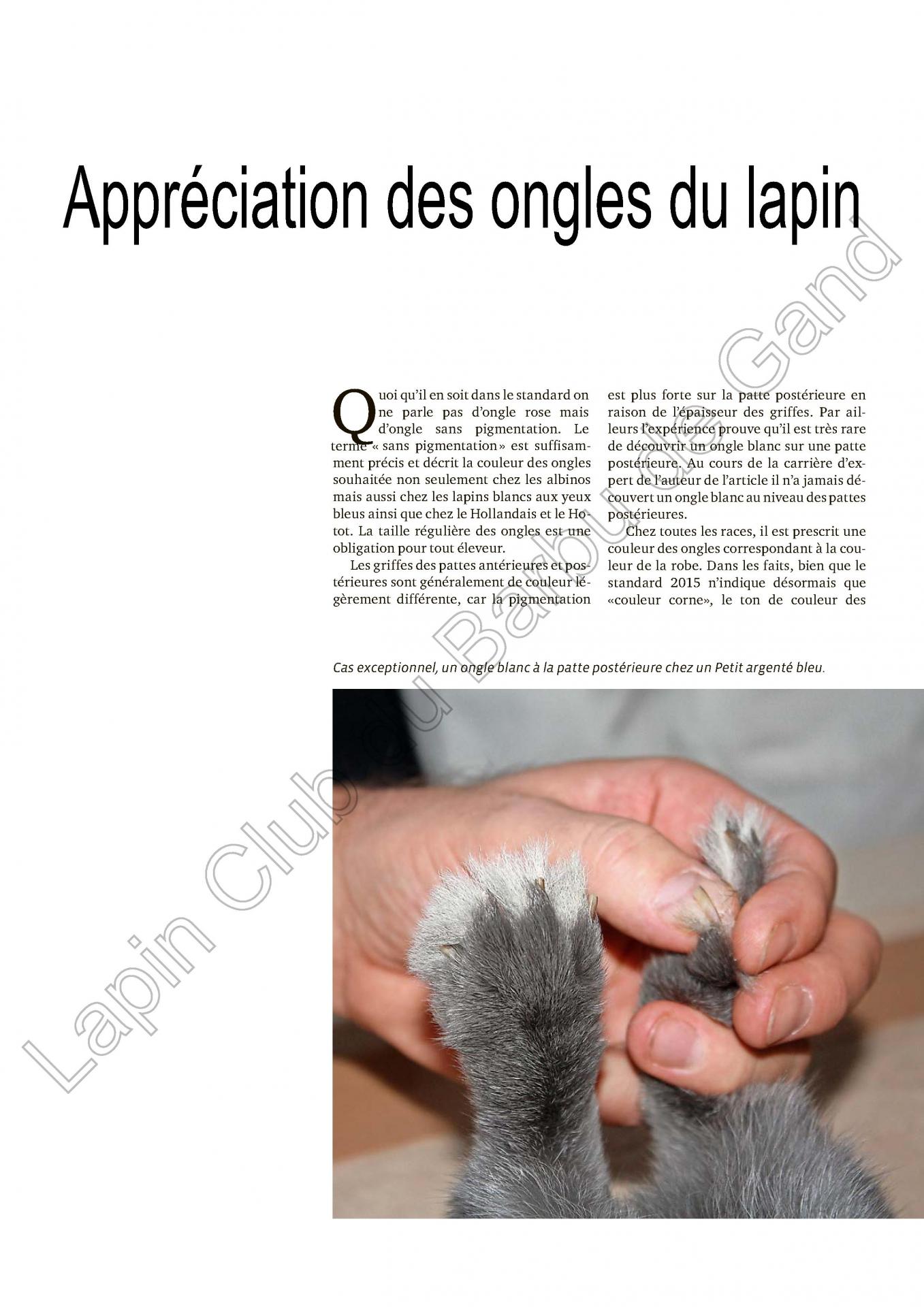 Appreciation des ongles du lapin 1