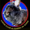 Barbu club logo petit