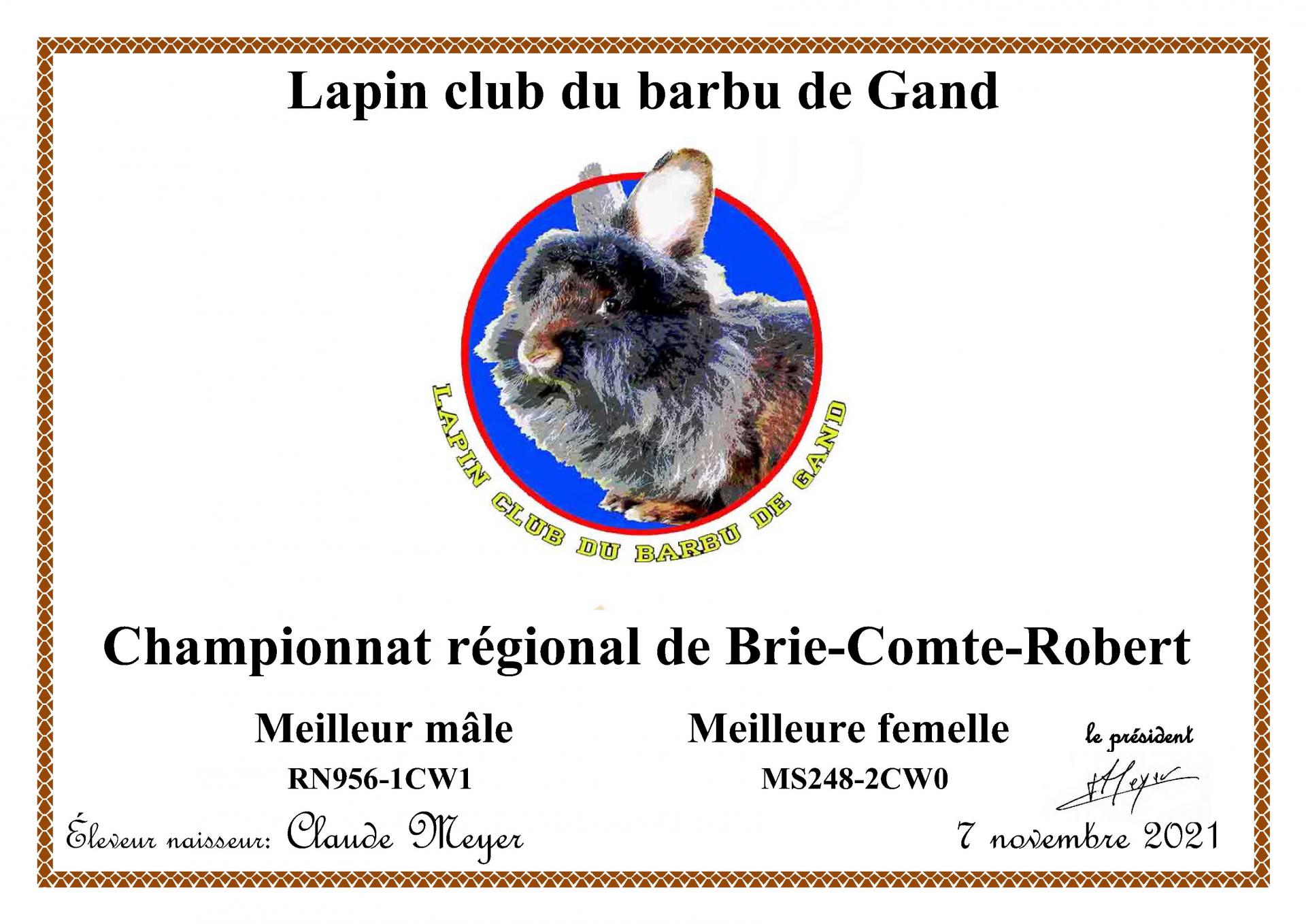 Champion male et femelle