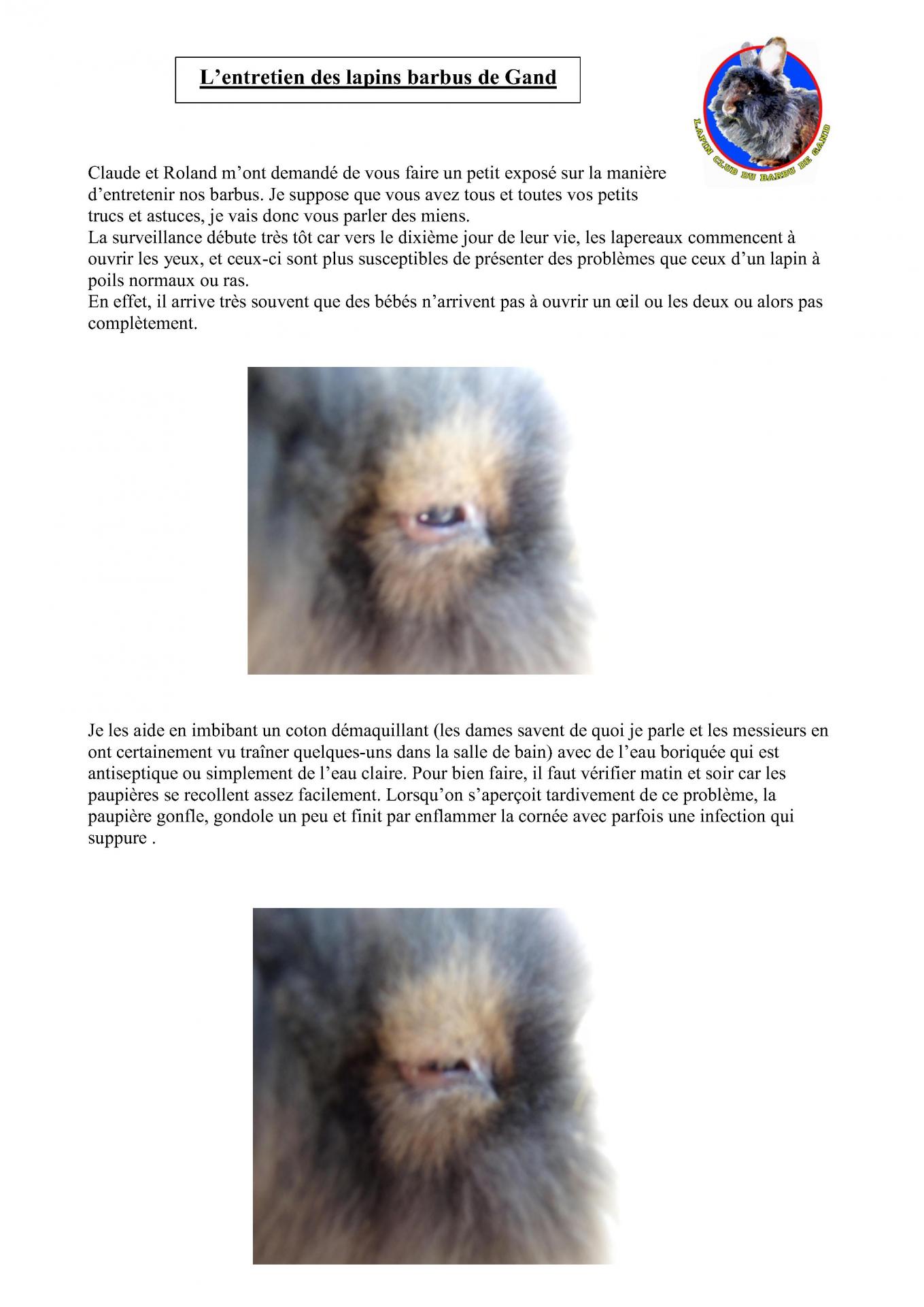 Expose leudon l entretien du barbu 1