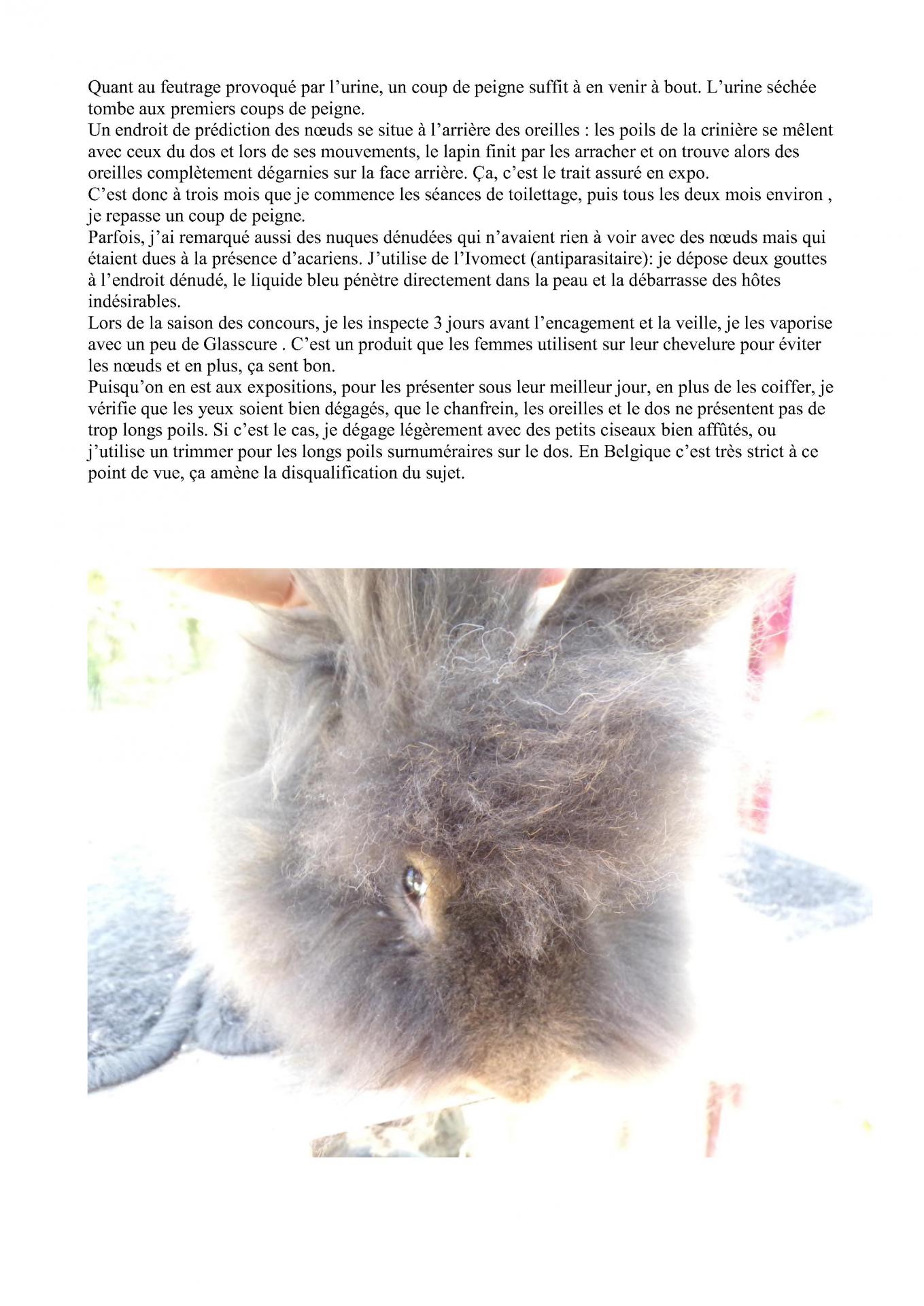 Expose leudon l entretien du barbu 5