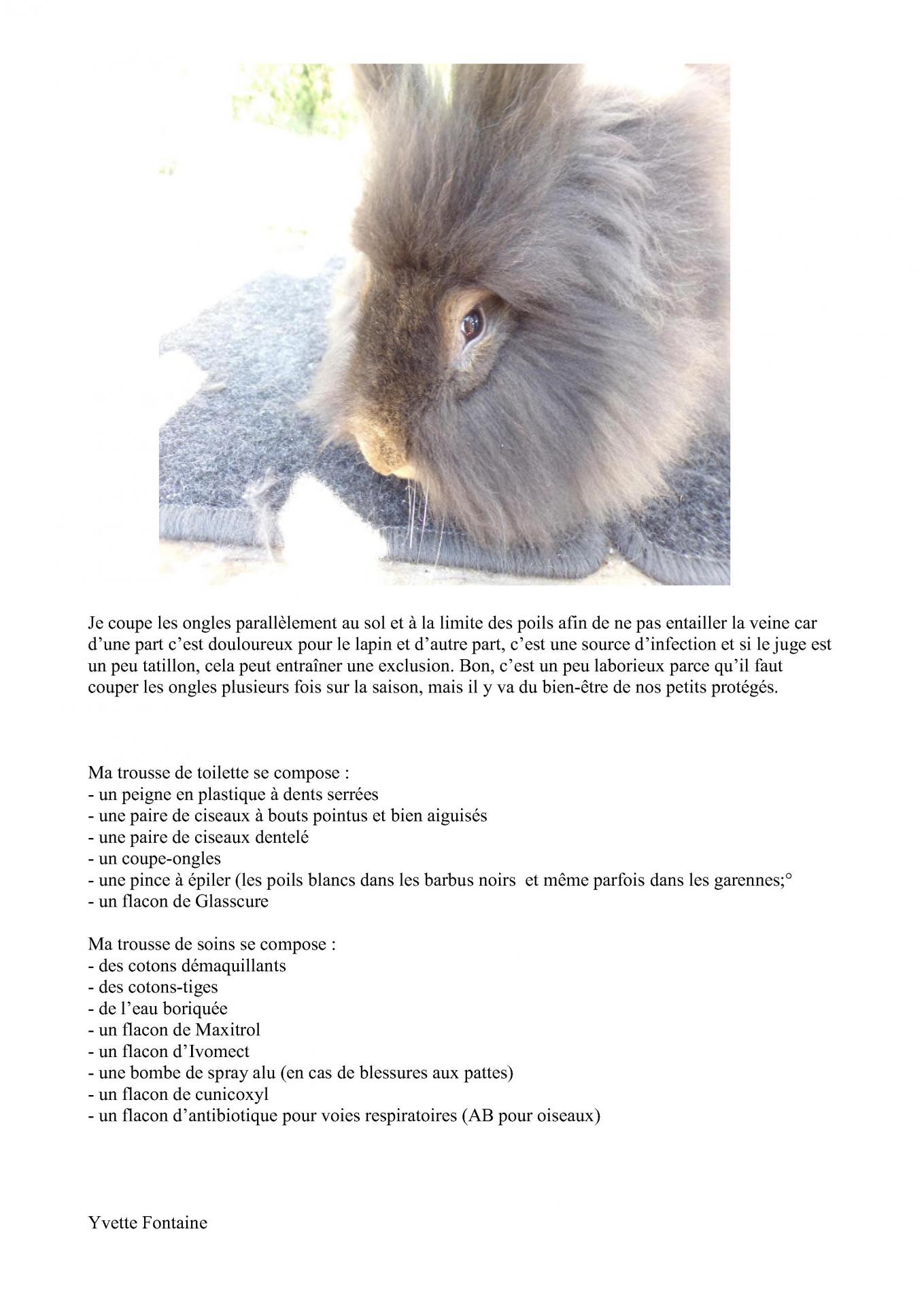 Expose leudon l entretien du barbu 6