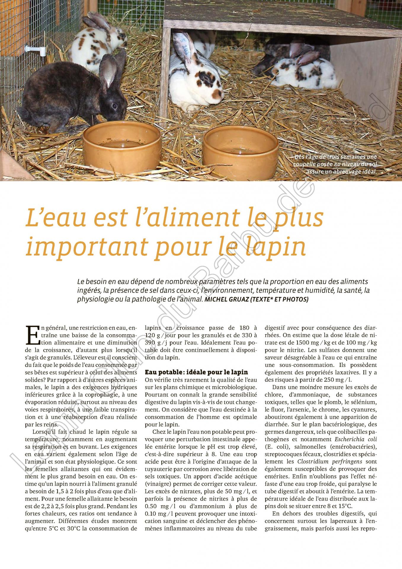 L eau est l aliment le plus important pour le lapin 1