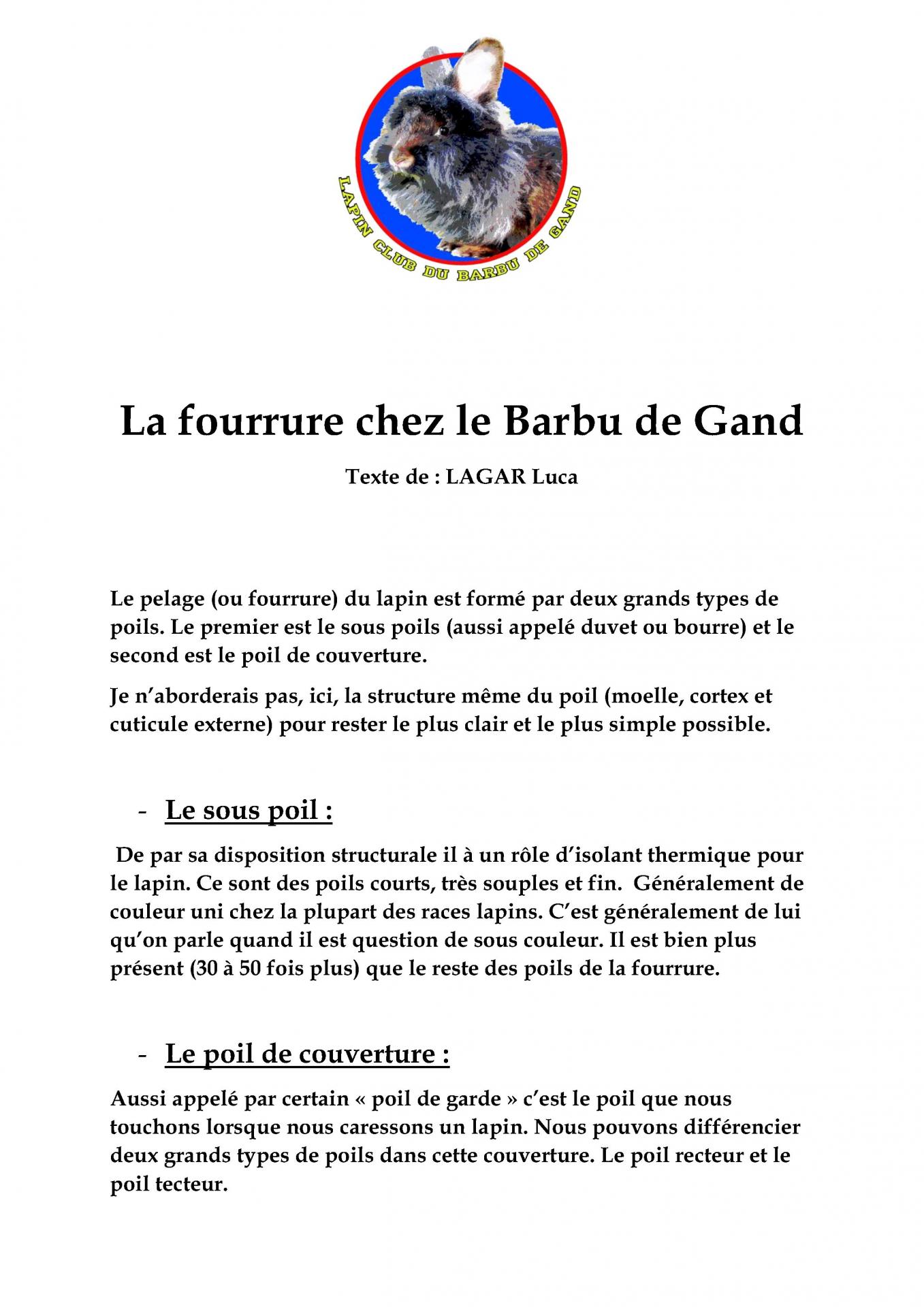 La fourrure chez le barbu de gand 1