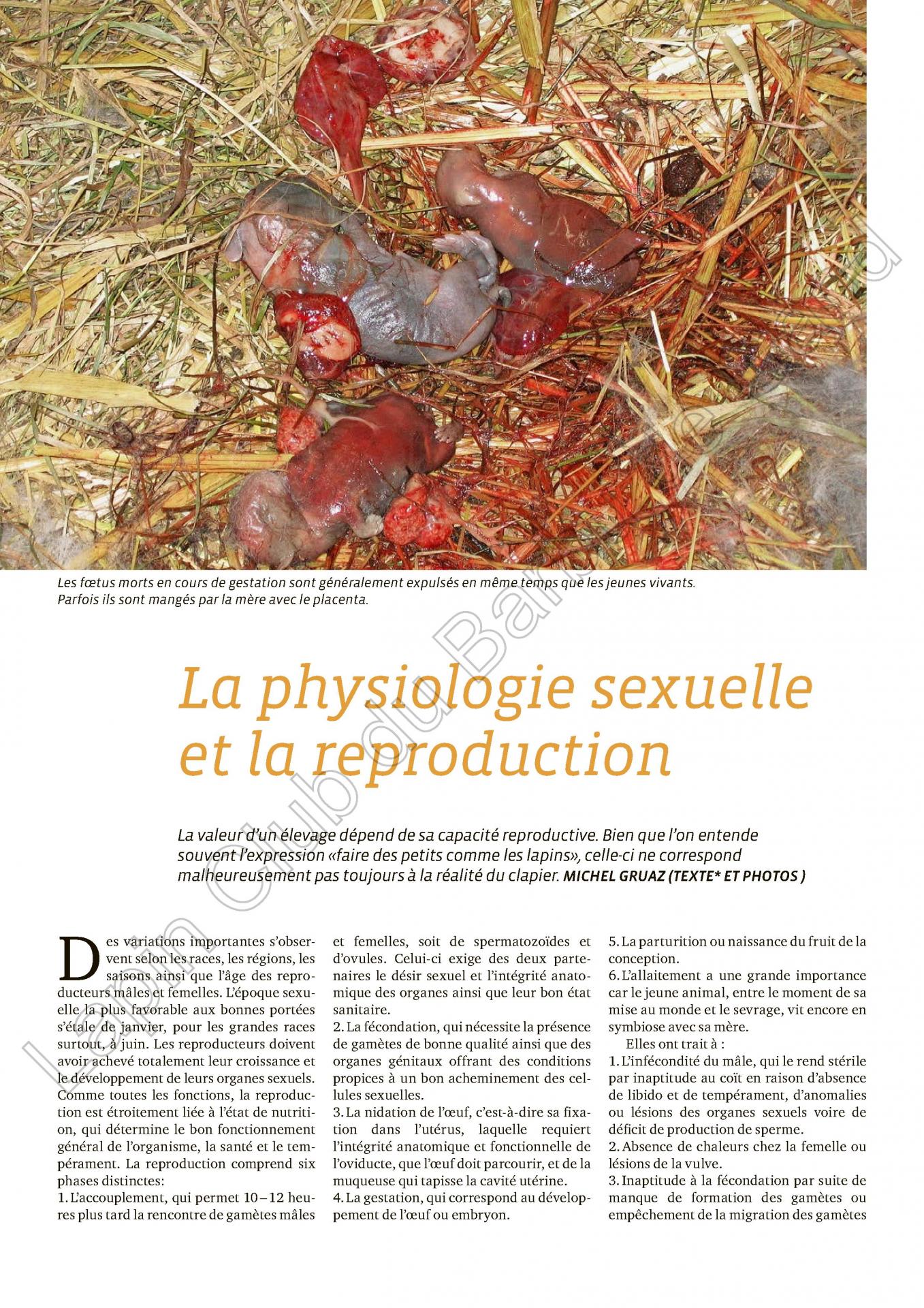 La physiologie sexuelle et la reproduction 1