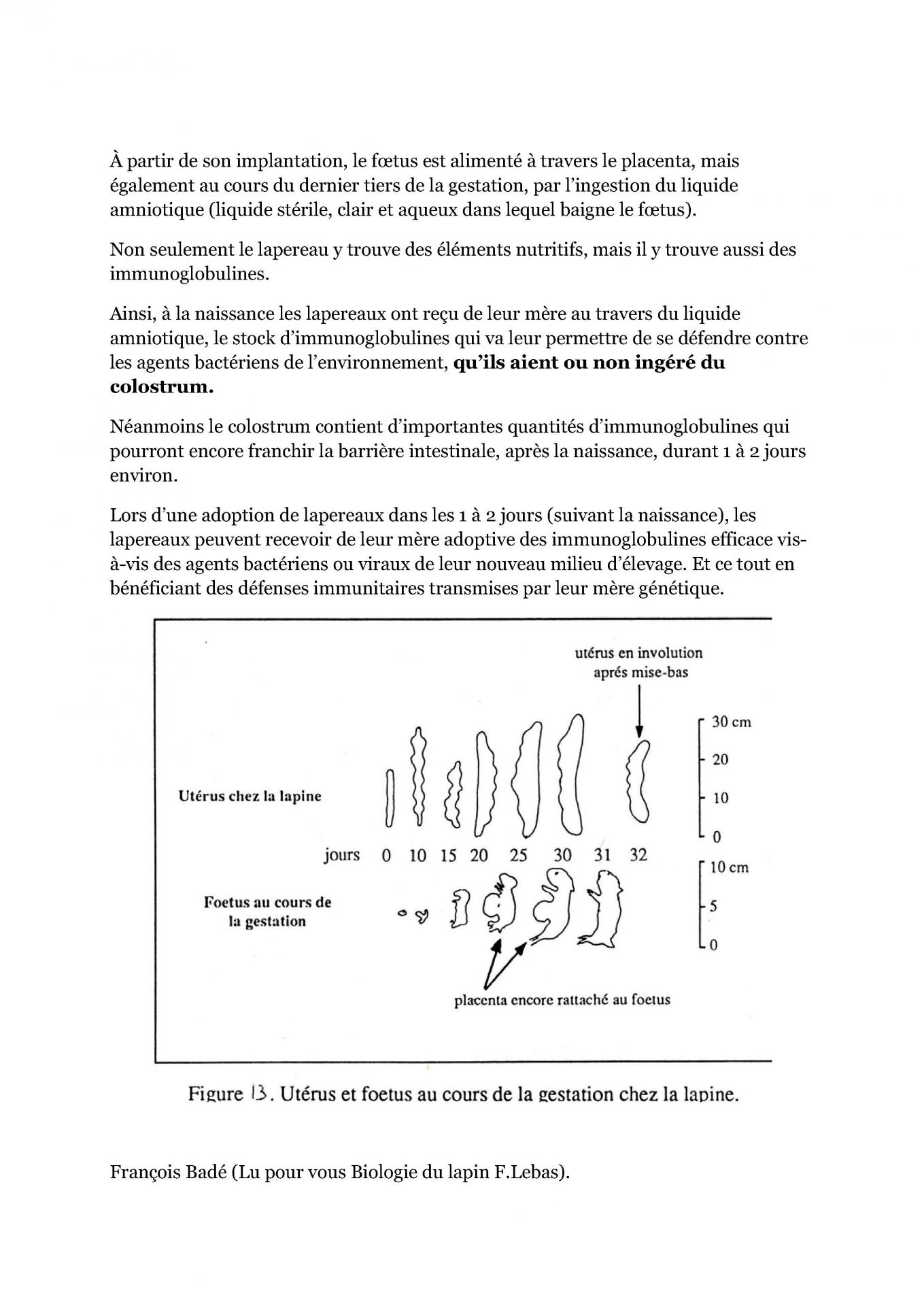 Les lapereaux cfelfb 1 2