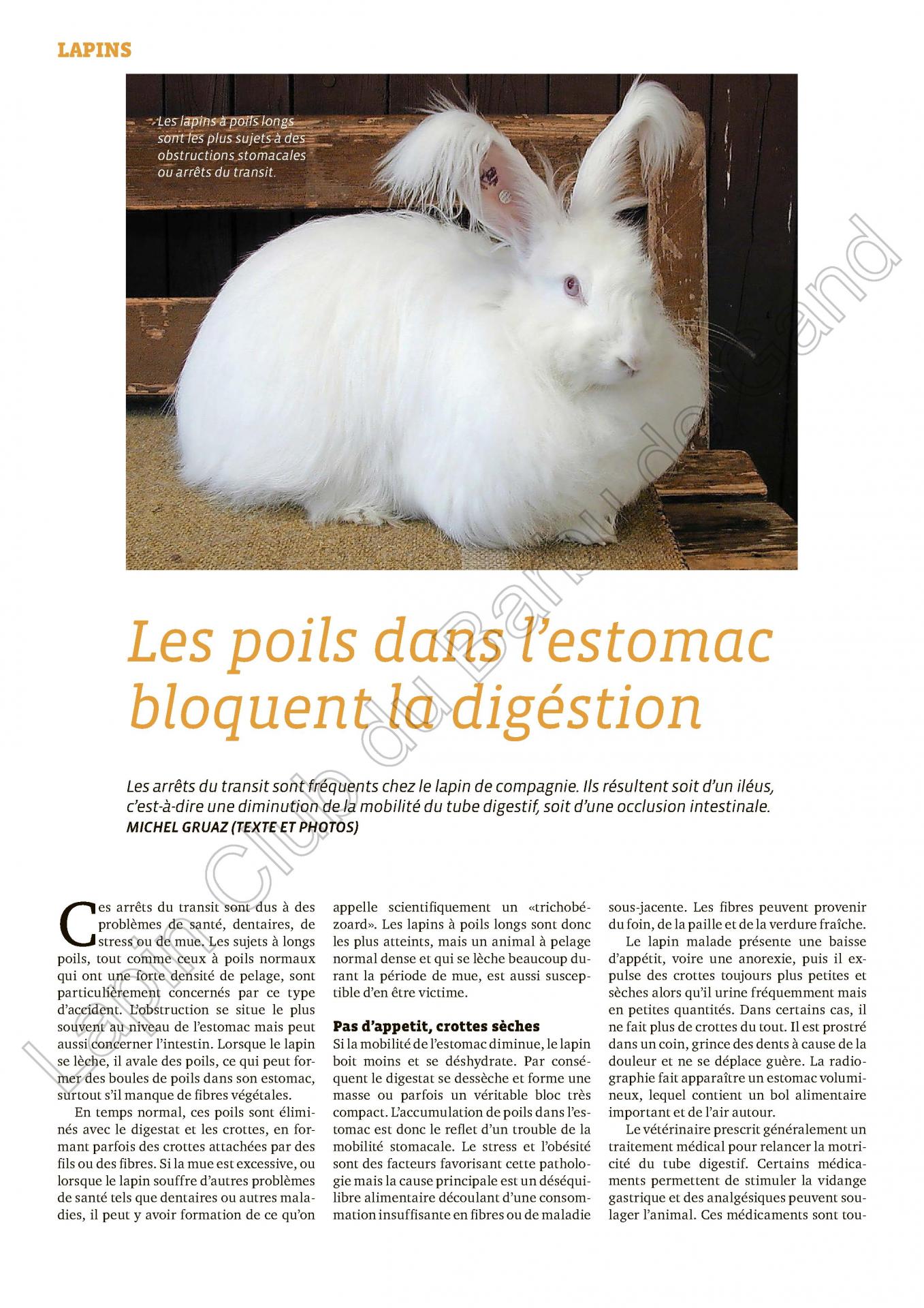 Les poils dans l estomac bloquent la digestion 1