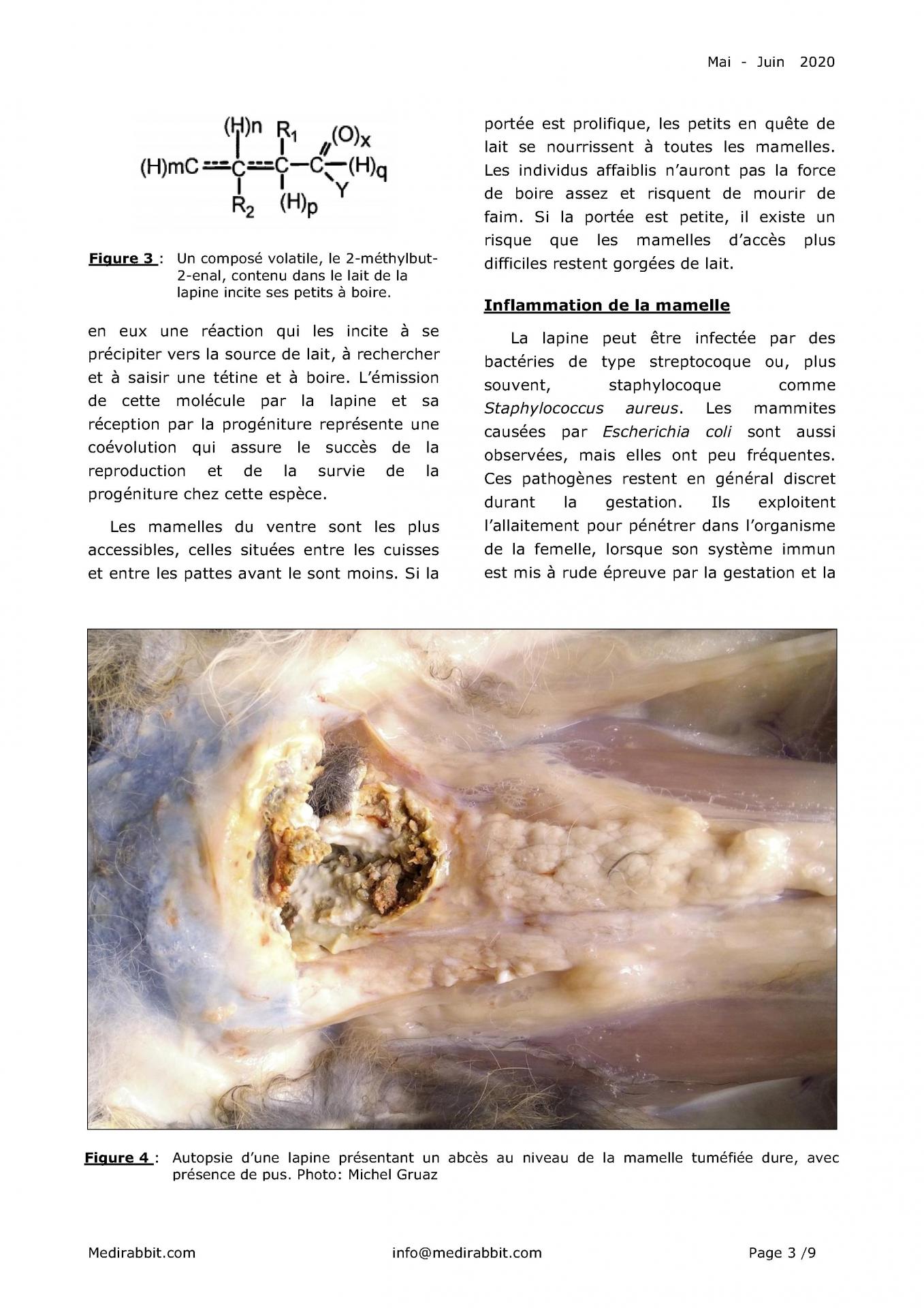 Mammite pustules 3