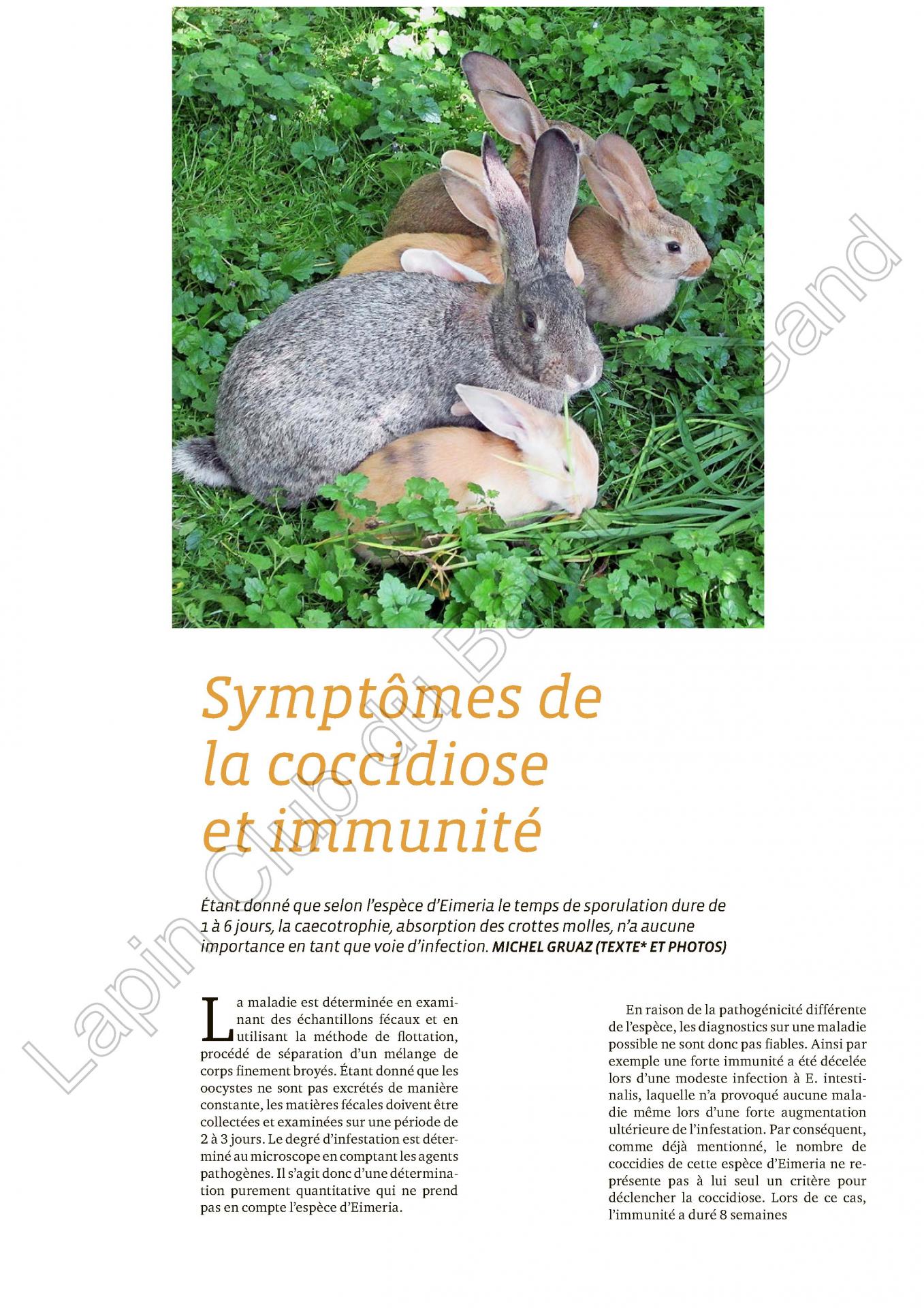 Symptome de la coccidiose et immunite 1